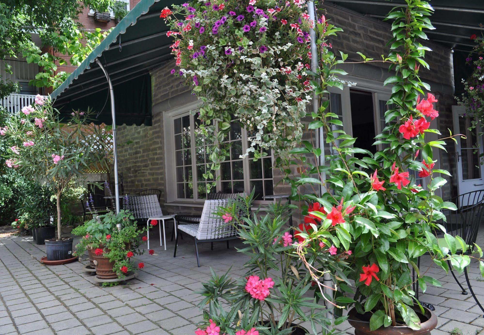 Swiss Hotel ออตตาวา ภายนอก รูปภาพ